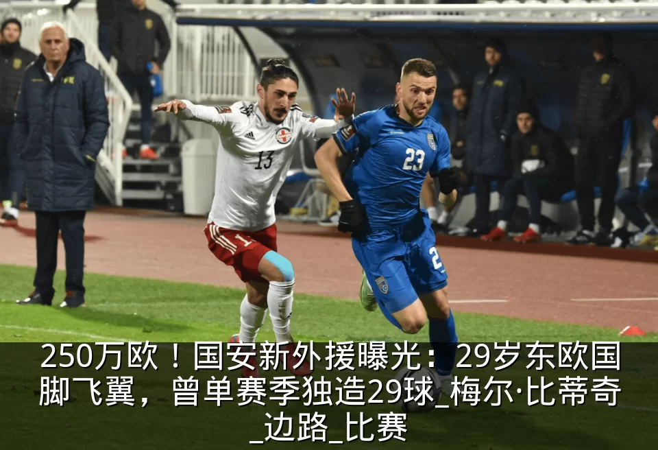 250万欧！国安新外援曝光：29岁东欧国脚飞翼，曾单赛季独造29球_梅尔·比蒂奇_边路_比赛